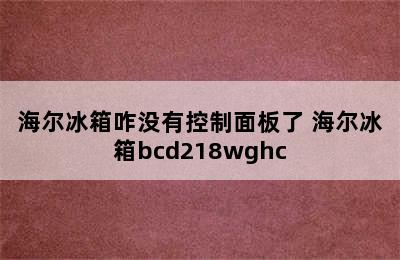 海尔冰箱咋没有控制面板了 海尔冰箱bcd218wghc